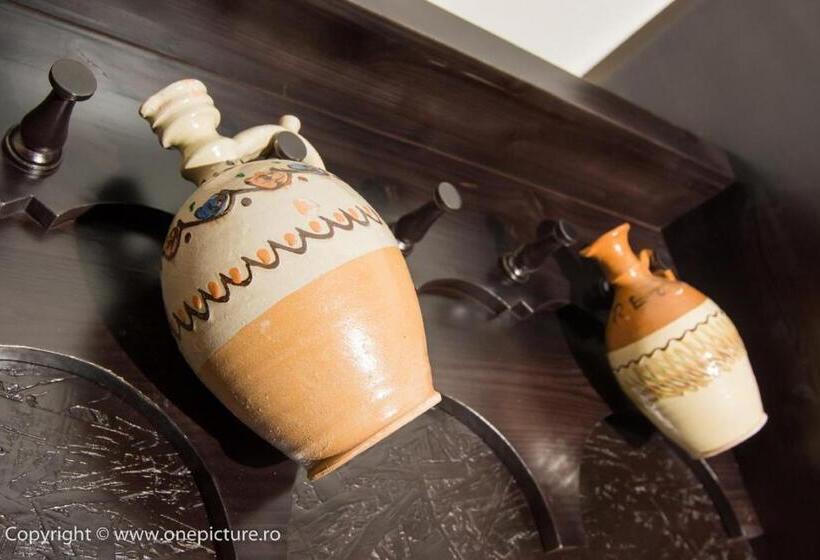 فندق Hanul Haiducilor