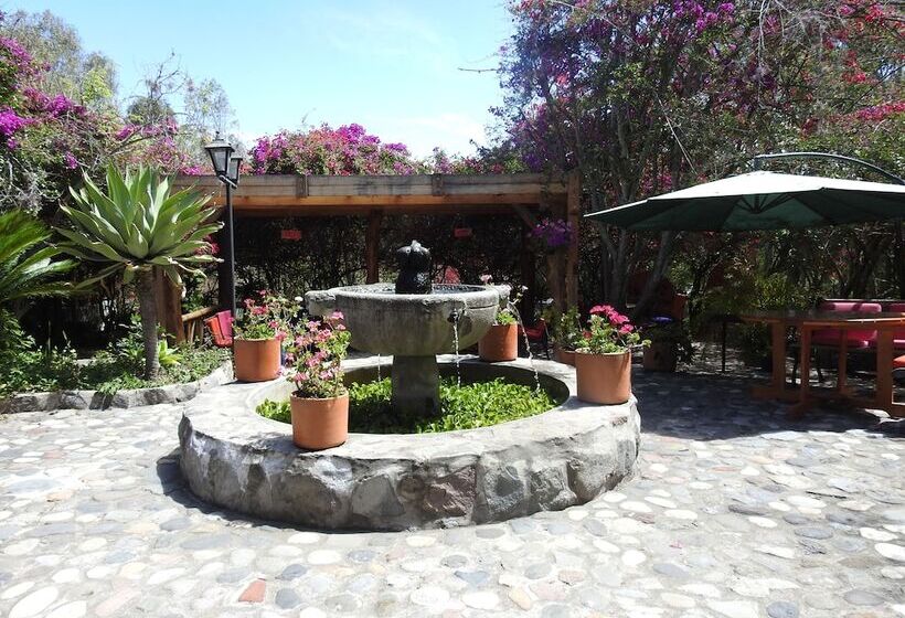בית מלון כפרי Hosteria Museart Pantavi