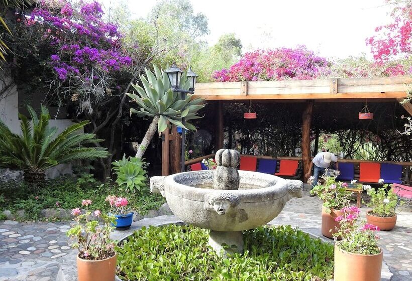בית מלון כפרי Hosteria Museart Pantavi