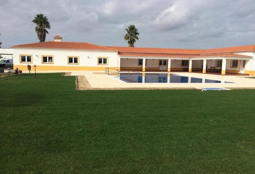 فندق Monte Das Palmeiras