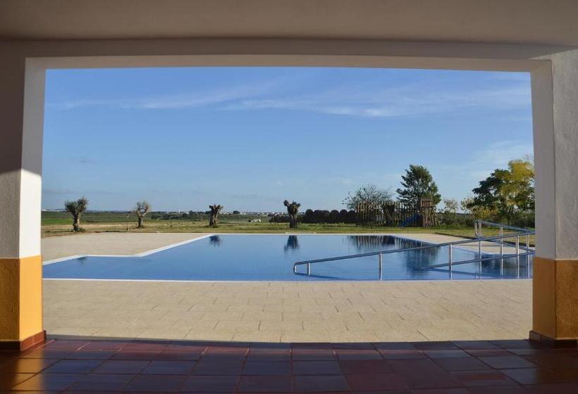 فندق Monte Das Palmeiras