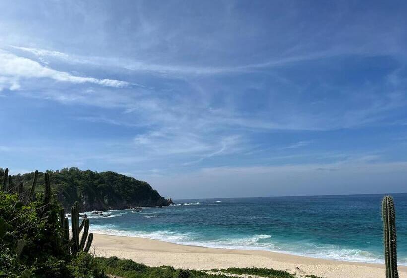 Manta Raya Hotel   Right On The Beach