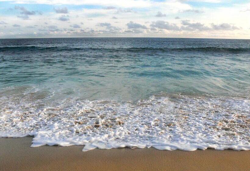 Manta Raya Hotel   Right On The Beach