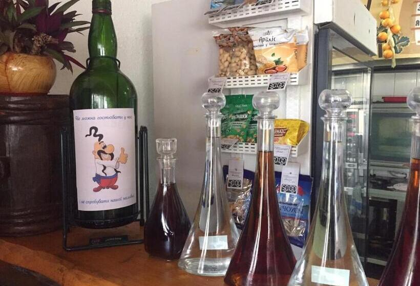 מוטל Karpaty Viking