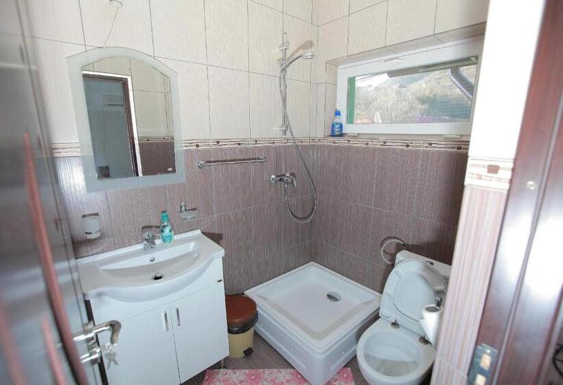 پانسیون Casa Lucian