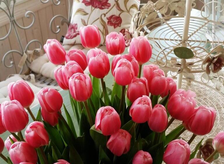 פנסיון Eräjärven Eerola Guesthouse