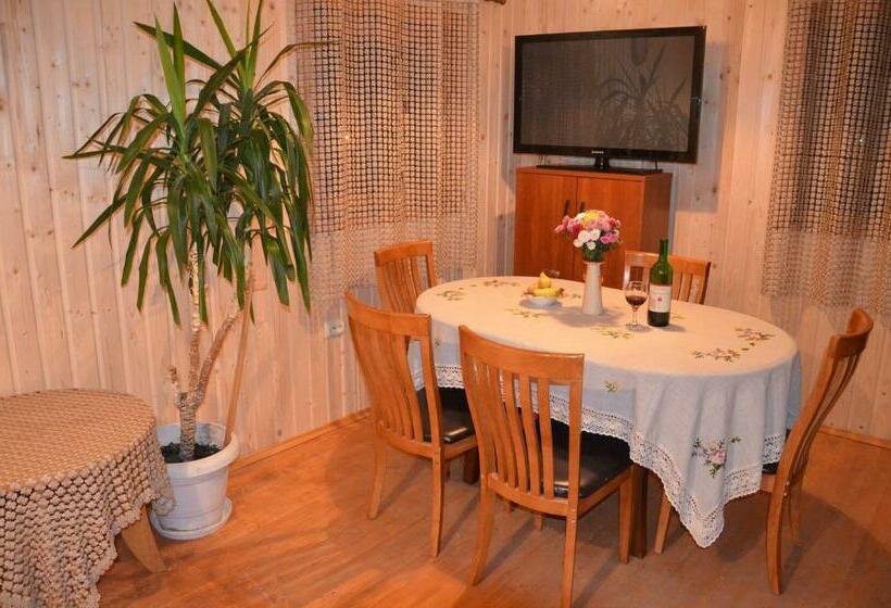 ペンション Teremok Guest House