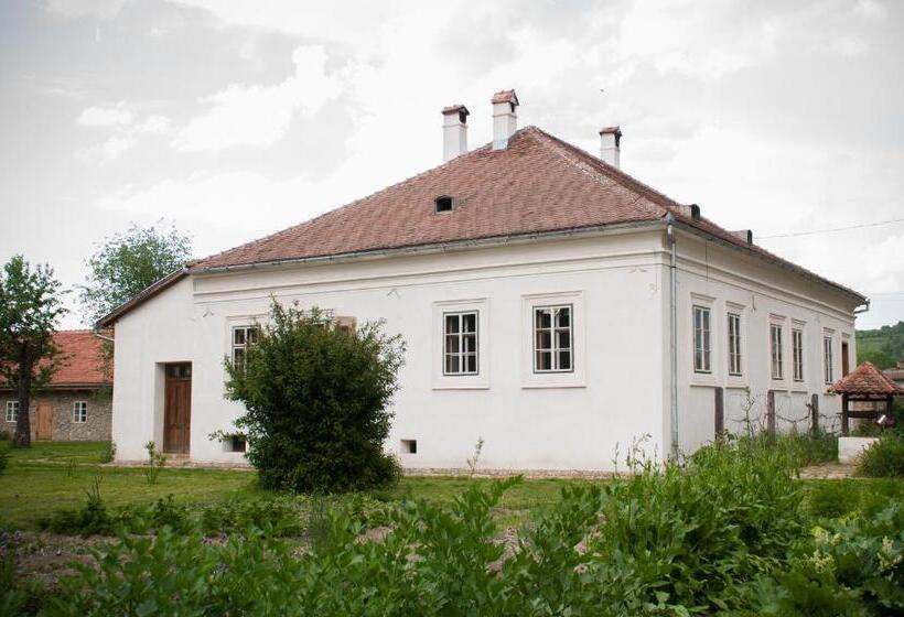 Пансион Transylvania Guesthouses