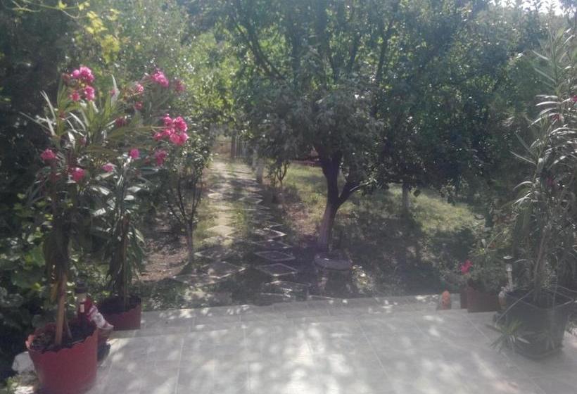 پانسیون Vila Mara