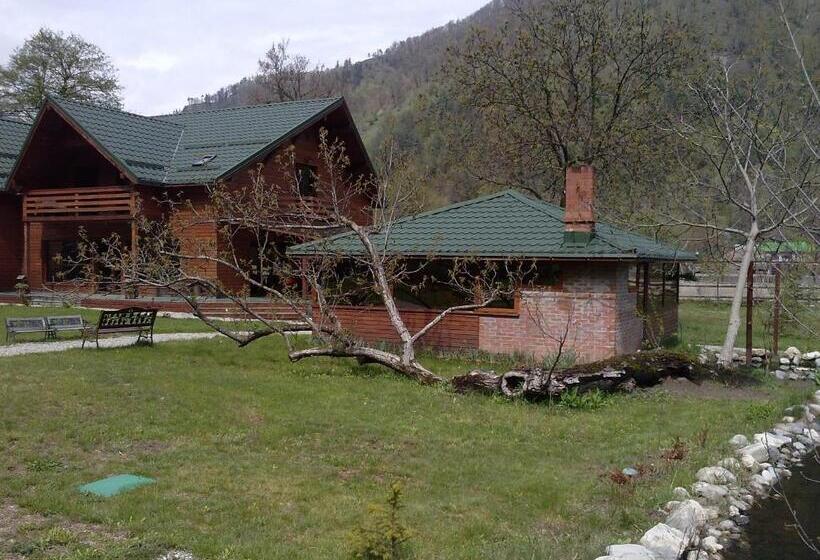 Pension Terra Nova
