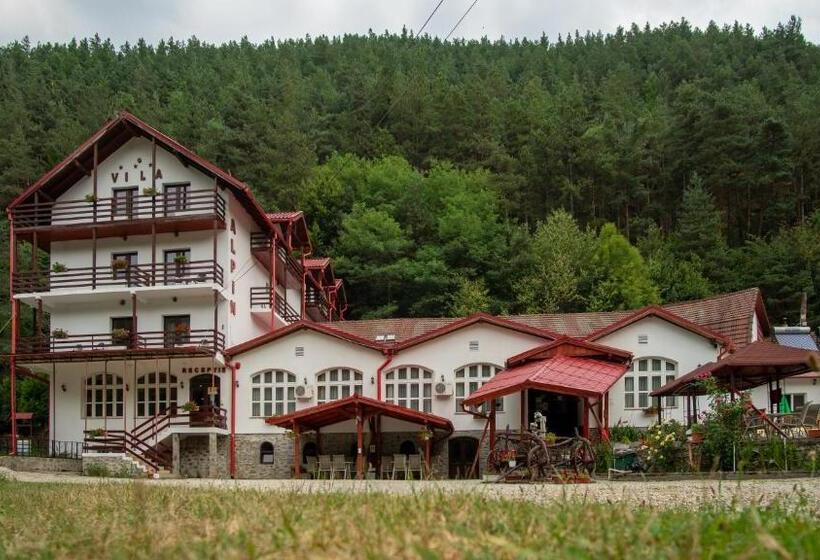 Pensiunea Alpin