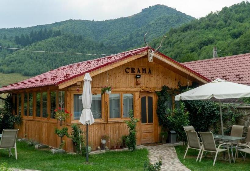 Pensiunea Alpin