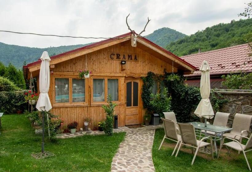 Pensiunea Alpin