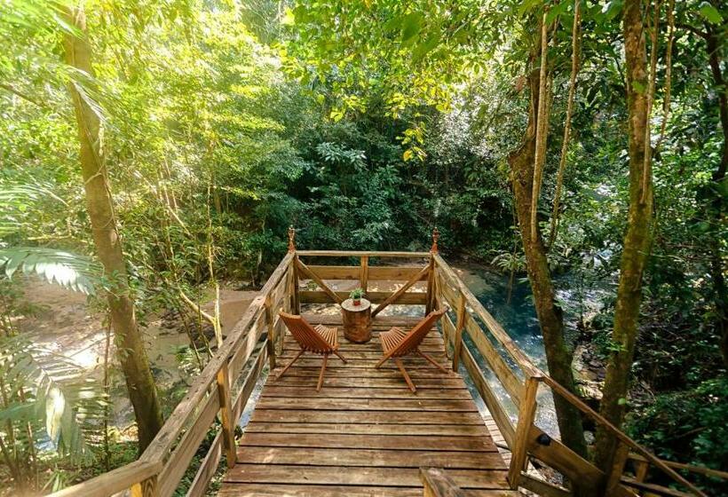 منتجع Jaguar Creek