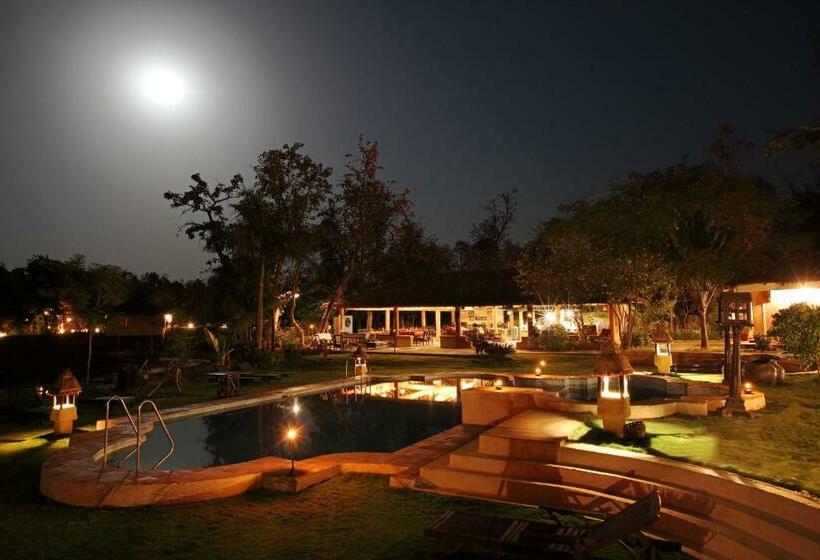 Tuli Tiger Resort