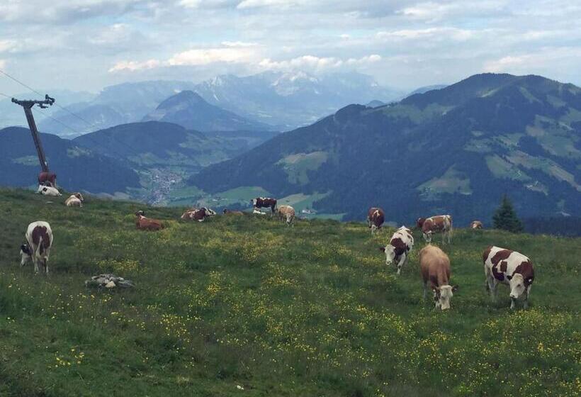 Общежитие Berggasthof Schatzbergalm