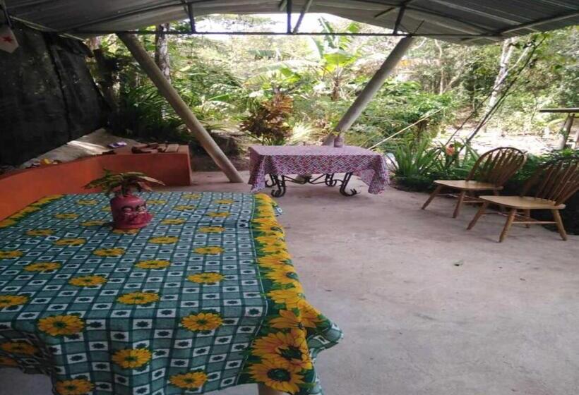 הוסטל Hostal Familiar El ángel Panamá B&b