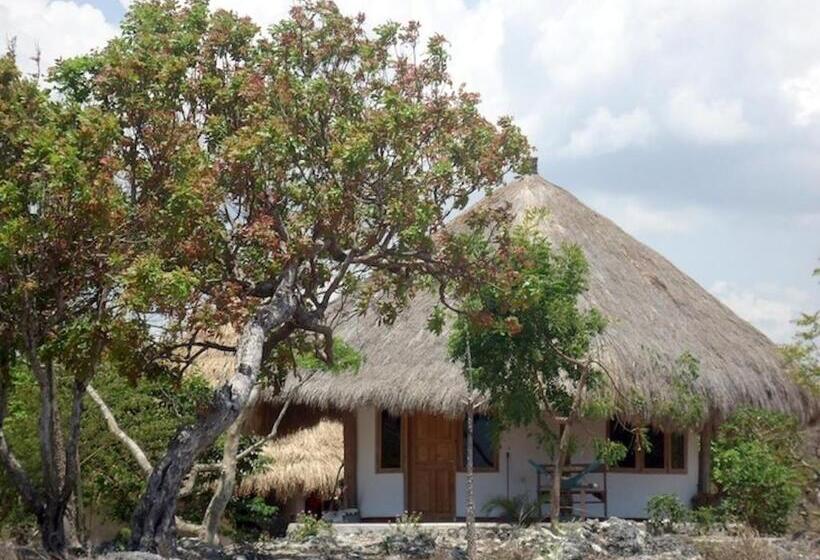 مبيت وإفطار Oro Beach Houses