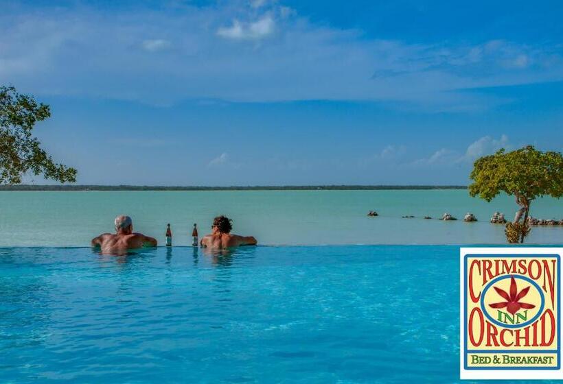 مبيت وإفطار The Crimson Orchid Inn At Orchid Bay