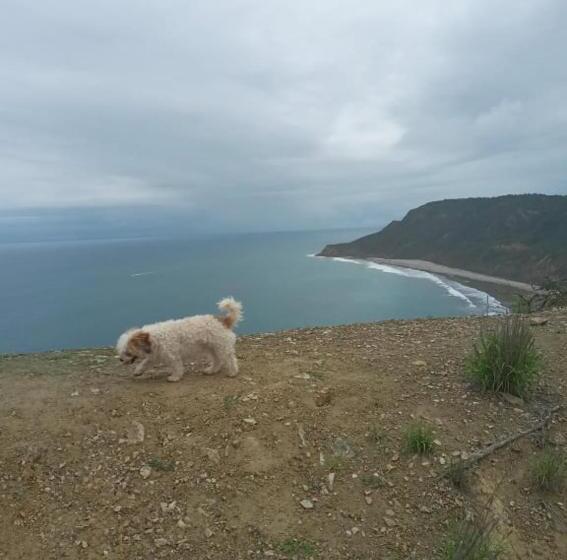 مبيت وإفطار The Lookout Beach
