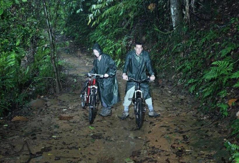 בית מלון כפרי Explore Sinharaja Rain Forest Tour Camp