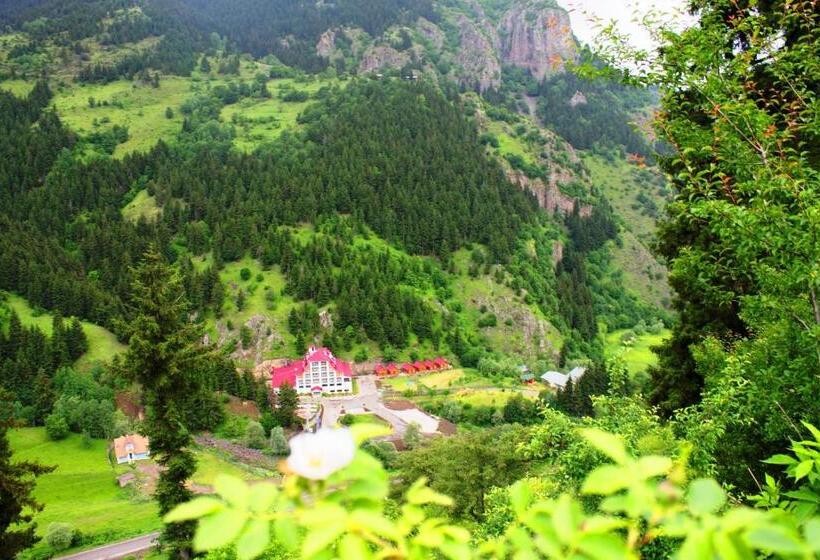 هتل Green Valley Savsat