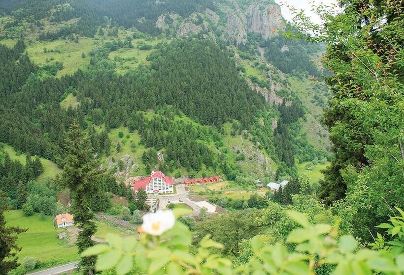 هتل Green Valley Savsat