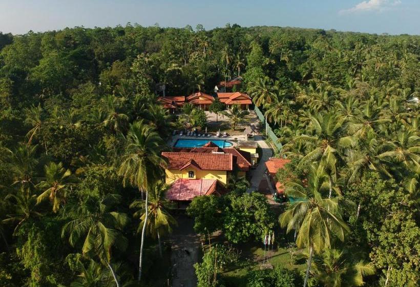 فندق Resort Like No Other