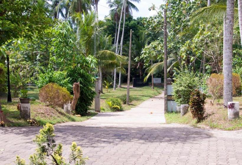 فندق Resort Like No Other