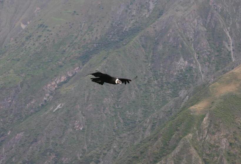 بنسيون Andean Spirit Lodge