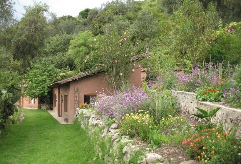 بنسيون Andean Spirit Lodge