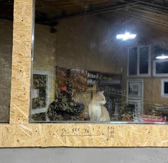 پانسیون Casa Lorena