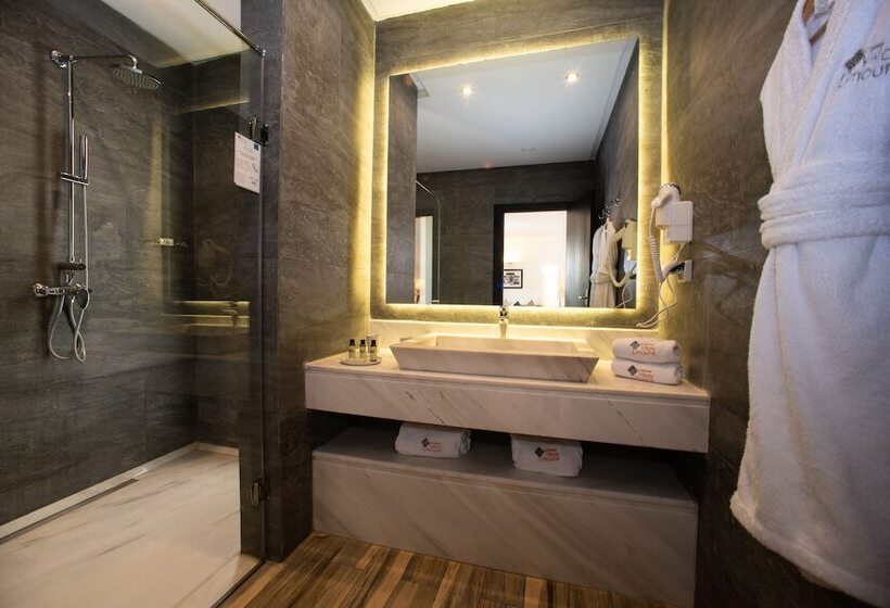 Пансион Le Domaine Limoune