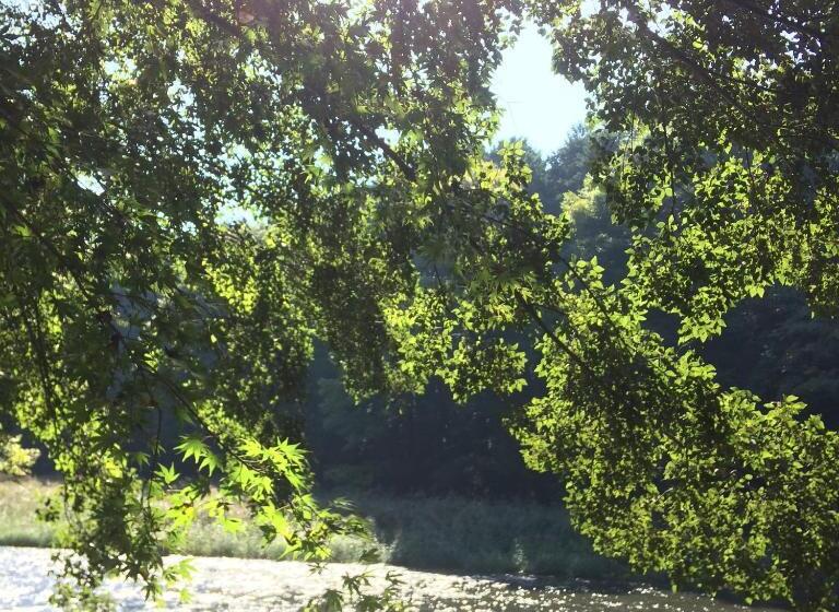 بنسيون Otsu Nature Garden