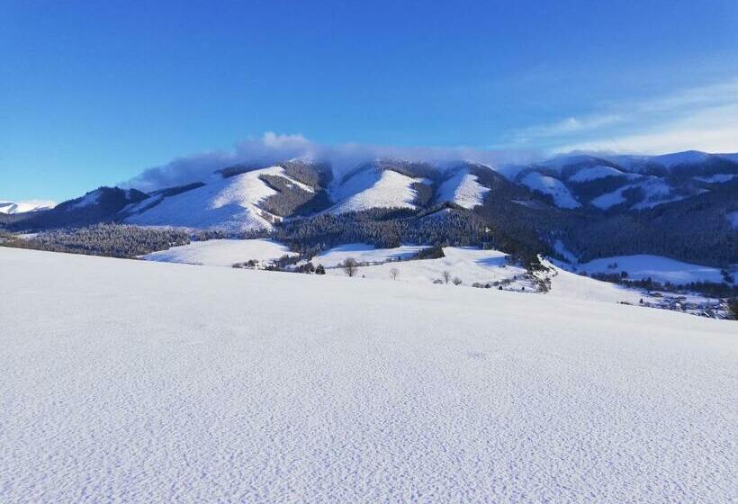 膳宿费 Penzión Baltazár