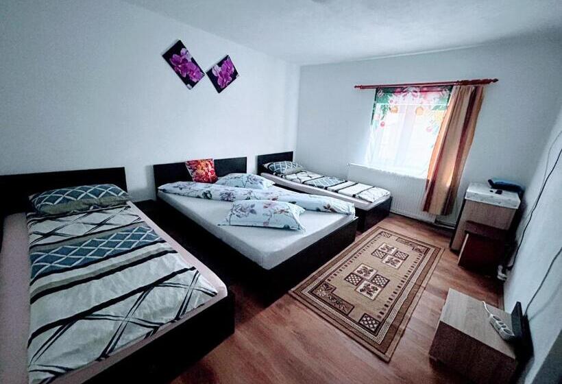 پانسیون Casa Andreea
