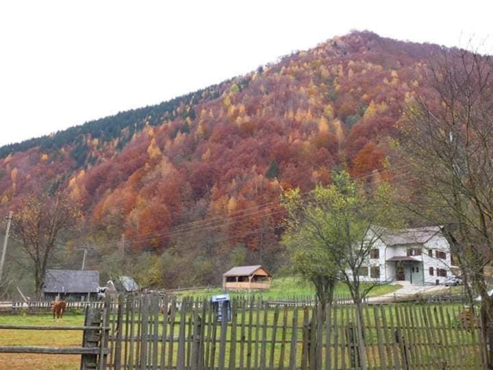 Pensiunea Valea Pinului