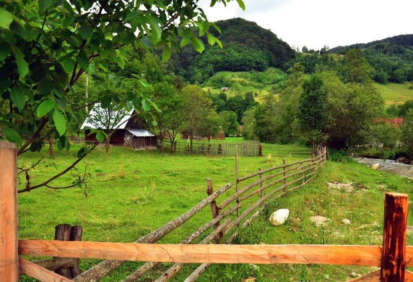 Pensiunea Valea Pinului