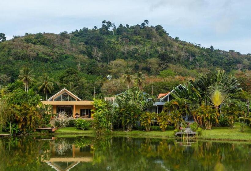 Курорт Thelifeco Wellbeing Phuket Detox Center And Vegan Hotel   Sha Plus