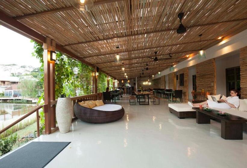 Курорт Thelifeco Wellbeing Phuket Detox Center And Vegan Hotel   Sha Plus