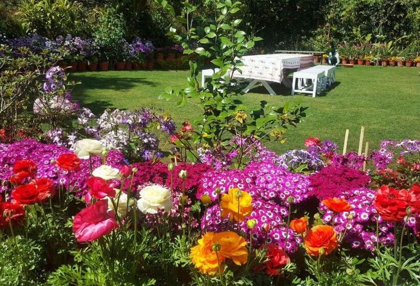 Shaheen Bagh A Luxury Boutique Resort & Spa