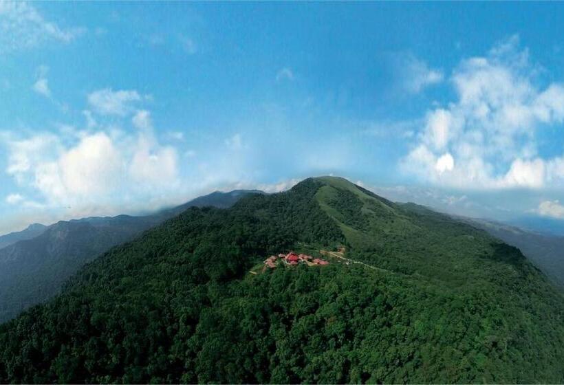 Wild Planet Jungle Resort