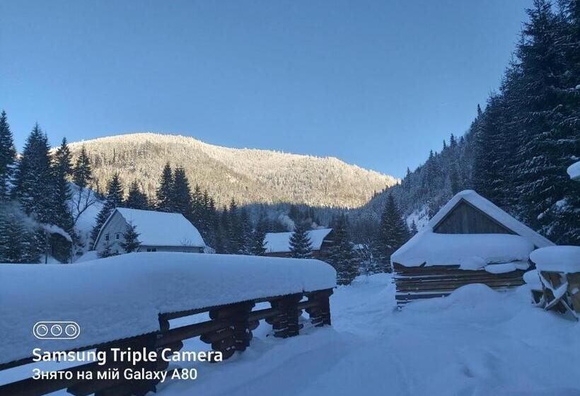 ユースホステル Berloga Sinevir