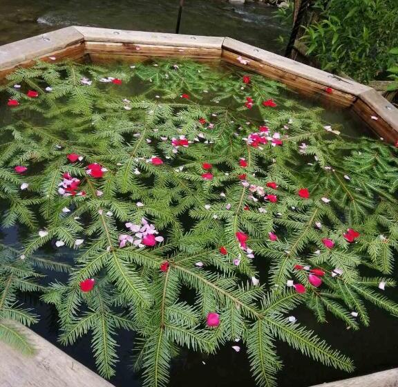 ユースホステル Berloga Sinevir