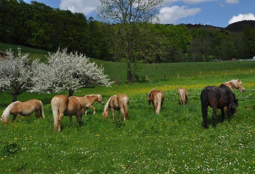 Отель Sonnenkaiser