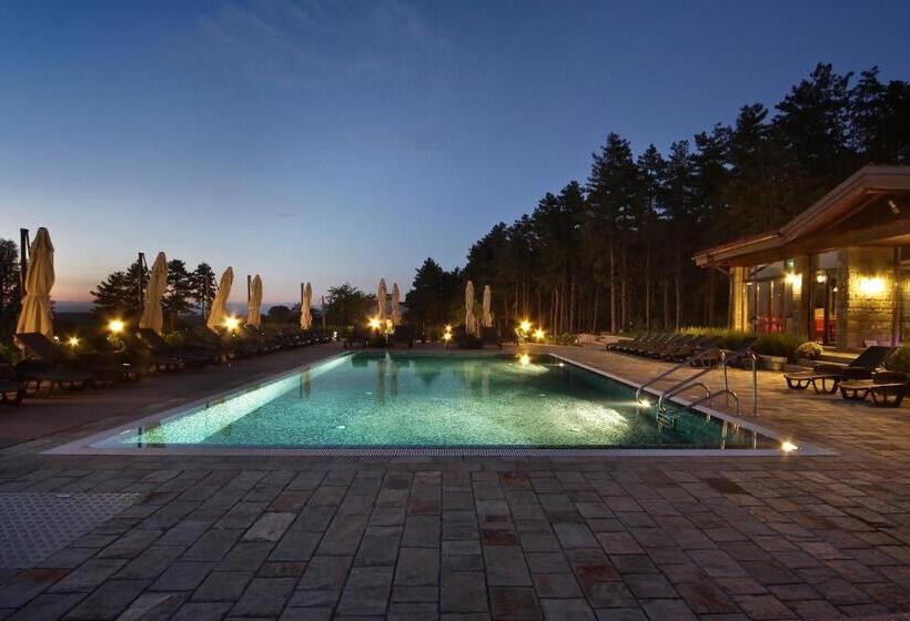 פנסיון Esterra Vini Guest House