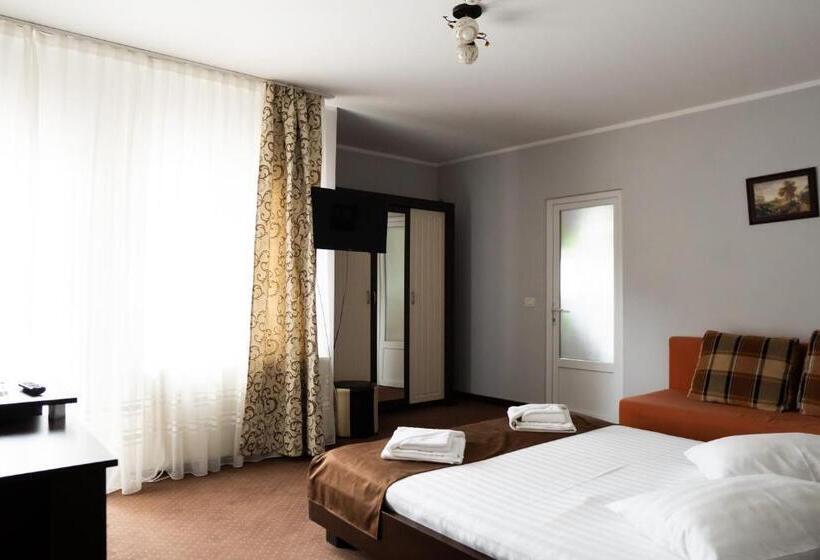 Pensiunea Lido Moisei