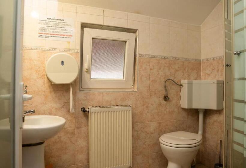 Pensiunea Lido Moisei