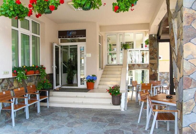 Pensiunea Lido Moisei