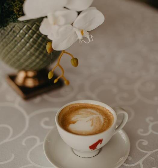 Pensiunea Lido Moisei